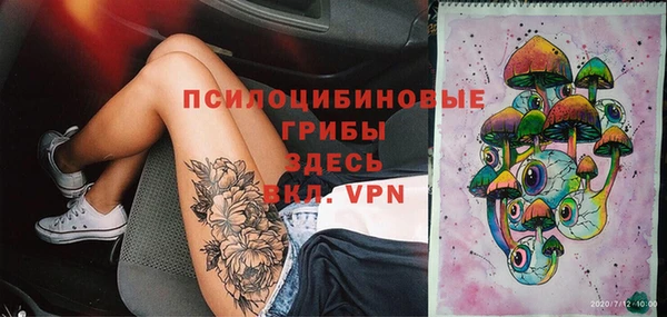 хмурый Кулебаки