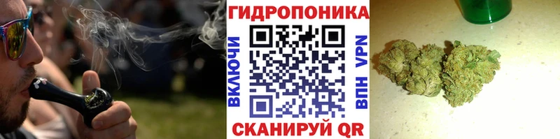 Бошки марихуана ГИДРОПОН  Козьмодемьянск 